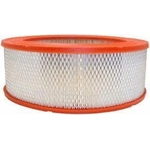 Order Air Filter by FRAM - CA7096 For Your Vehicle