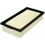 Order Air Filter by FRAM - CA8220 For Your Vehicle