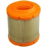 Order FRAM - CA8805 - Air Filter For Your Vehicle