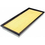 Order FRAM - CA9113 - Air Filter For Your Vehicle