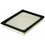 Order Air Filter by FRAM - CA9435 For Your Vehicle