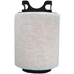 Order Air Filter by FRAM - CA9800 For Your Vehicle