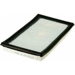 Order Air Filter by FRAM - CA9806 For Your Vehicle