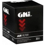 Order Air Filter by G.K. INDUSTRIES - AF10581 For Your Vehicle