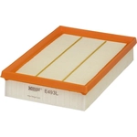 Order Air Filter by HENGST FILTER - E493L For Your Vehicle