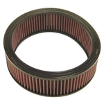 Order Air Filter by K & N ENGINEERING - E1250 For Your Vehicle