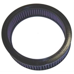 Order Air Filter by K & N ENGINEERING - E1290 For Your Vehicle