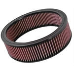 Order Air Filter by K & N ENGINEERING - E1500 For Your Vehicle