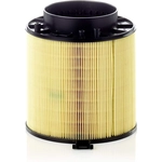 Order MANN-FILTER - C16-114X - Air Filter For Your Vehicle