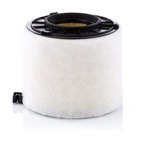 Order MANN-FILTER - C17-010 -  Air Filter For Your Vehicle