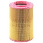 Order Filtre à air par MANN-FILTER - C17-201/3 For Your Vehicle