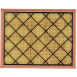 Order Air Filter by MOTORCRAFT - FA1943 For Your Vehicle