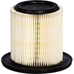 Order Air Filter by MOTORCRAFT - FA1641 For Your Vehicle