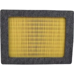 Order Air Filter (Pack of 6) by MOTORCRAFT - FA1754B6 For Your Vehicle