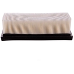 Order PREMIUM GUARD - PA6317 - Air Filter For Your Vehicle