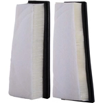 Order PREMIUM GUARD - PA99418K - Air Filter For Your Vehicle