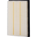 Order PREMIUM GUARD - PA99841 - Air Filter For Your Vehicle