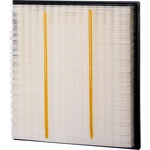 Order PREMIUM GUARD - PA99850 - Air Filter For Your Vehicle