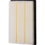 Order PREMIUM GUARD - PA99855 - Air Filter For Your Vehicle