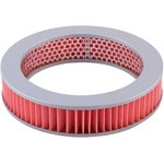 Order Air Filter by PREMIUM GUARD - PA110 For Your Vehicle