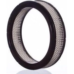 Order Air Filter by PREMIUM GUARD - PA113 For Your Vehicle