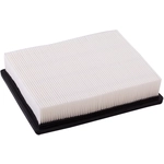 Order PREMIUM GUARD - PA3590 - Air Filter For Your Vehicle