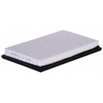 Order PREMIUM GUARD - PA4278 - Air Filter For Your Vehicle