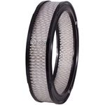 Order Air Filter by PREMIUM GUARD - PA45 For Your Vehicle