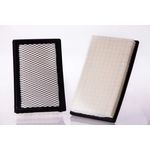 Order Air Filter by PREMIUM GUARD - PA5043 For Your Vehicle