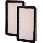 Order PREMIUM GUARD - PA5395 - Air Filter For Your Vehicle