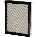 Order PREMIUM GUARD - PA5396 - Air Filter For Your Vehicle