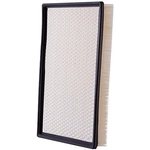 Order PREMIUM GUARD - PA5462 - Air Filter For Your Vehicle