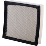 Order PREMIUM GUARD - PA6116 - Air Filter For Your Vehicle