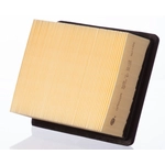Order Air Filter by PREMIUM GUARD - PA6199 For Your Vehicle