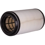 Order PREMIUM GUARD - PA99079 - Air Filter For Your Vehicle