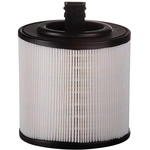 Order REMIUM GUARD - PA99207 - Air Filter For Your Vehicle