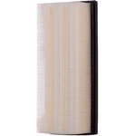 Order Air Filter by PREMIUM GUARD - PA99517 For Your Vehicle
