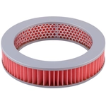 Order PRONTO FILTERS - PA110 - Air Filter For Your Vehicle