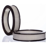 Order PRONTO FILTERS - PA113 - Air Filter For Your Vehicle