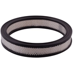 Order PRONTO FILTERS - PA124 - Air Filter For Your Vehicle