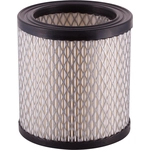 Order PRONTO FILTERS - PA3196 - Air Filter For Your Vehicle