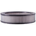 Order Filtre à air de PRONTO FILTERS - PA3467 For Your Vehicle