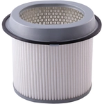 Order PRONTO FILTERS - PA4375 - Air Filter For Your Vehicle