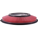 Order PRONTO FILTERS - PA4669 - Air Filter For Your Vehicle