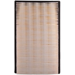 Order PRONTO FILTERS - PA4832 - Air Filter For Your Vehicle