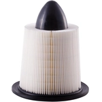 Order PRONTO FILTERS - PA4879 - Air Filter For Your Vehicle