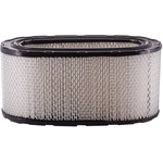 Order PRONTO FILTERS - PA5042 - Air Filter For Your Vehicle