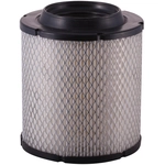 Order Air Filter by PRONTO FILTERS - PA5306 For Your Vehicle