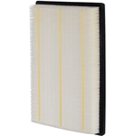 Order PRONTO FILTERS - PA5462 - Air Filter For Your Vehicle