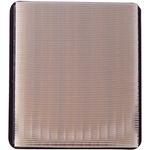 Order PRONTO FILTERS - PA5488 - Air Filter For Your Vehicle